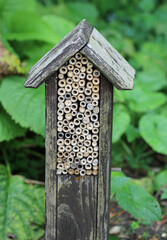 Bug hotel with bamboo canes in close up