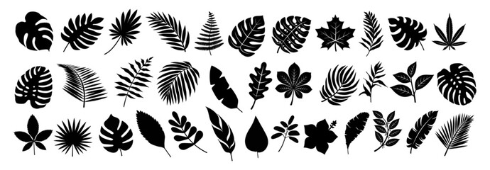 Set of black silhouettes of tropical leaves palms, trees. Vector - obrazy, fototapety, plakaty