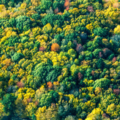 vue aérienne de forêt à l'automne en France - 760775511