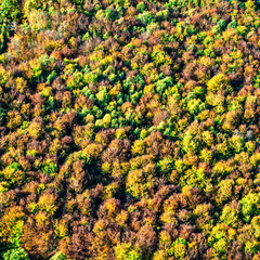 vue aérienne de forêt à l'automne en France - 760775575