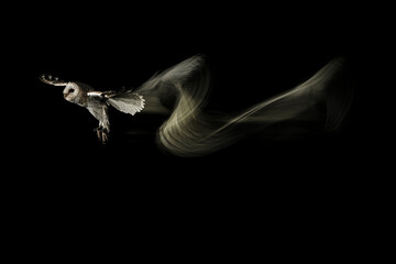 fotografia de una lechuza volando