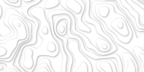 Abstract geometric layered curve line white background. 3d white papercut topography relief. Cover layout template. paper cut topography soft background banner texture. light liquid wave illustration.