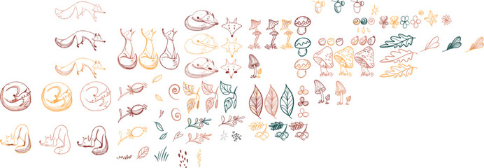 Autumn forest vector illustration