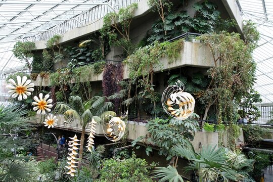 The Barbican Conservatory at the Barbican Centre, London including artwork by Indian sculptor Ranjani Shettar