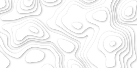 Abstract geometric layered curve line white background. 3d white papercut topography relief. Cover layout template. paper cut topography soft background banner texture. light liquid wave illustration.
