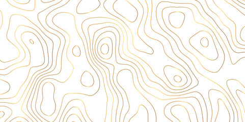 abstract golden wave paper curved reliefs background. Topography map pattern, Geographic curved, vector illustration. seamless textrue, vintage waves. Panorama view multicolor wave curve line.