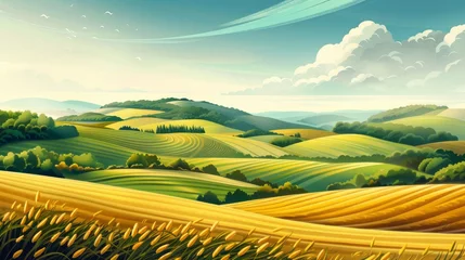 Poster Rural landscape with fields and hills © Chingiz