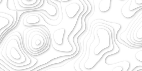 Abstract geometric layered curve line white background. 3d white papercut topography relief. Cover layout template. paper cut topography soft background banner texture. light liquid wave illustration.