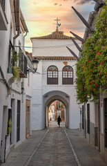 Fototapeta na wymiar Antigua puerta de Jerez y calle peatonal adoquinada en la hermosa villa de Zafra, España. Con cielo editado