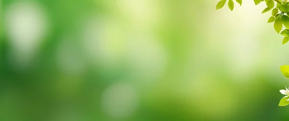 Fotobehang Abstract textured spring light green blur background, wallpaper nature, light green background, green abstract background, st patricks day background. ai © Al Amin