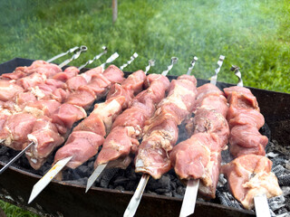 Pork kebab is grilled on charcoal in the grill