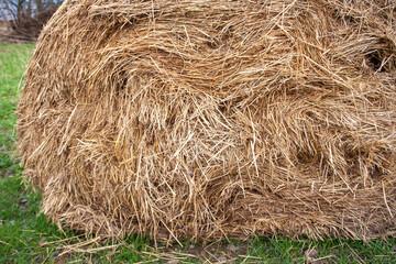 detail of a rolled bale of straw, you can also use the picture as a background