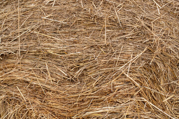 A straw bale closeup in march 2024