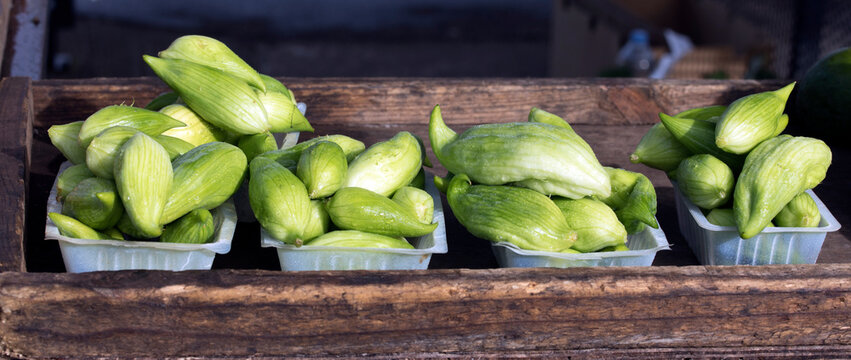 View of caigua sold at market