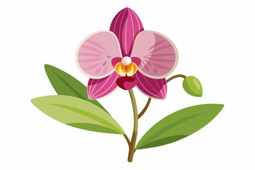  Orchid flower with stem and dark green leaves, vector art illustration