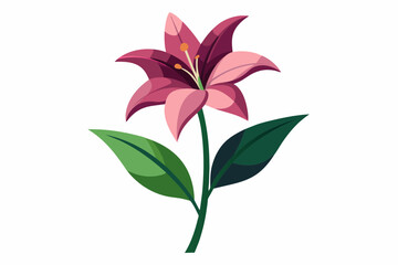  Lily flower with stem and dark green leaves, vector art illustration