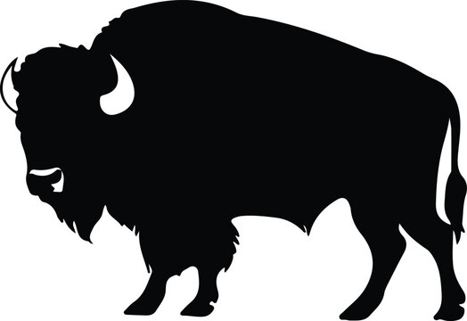 bison silhouette