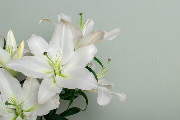 Two white lilies on a light green background. Happy Birthday. copy space.