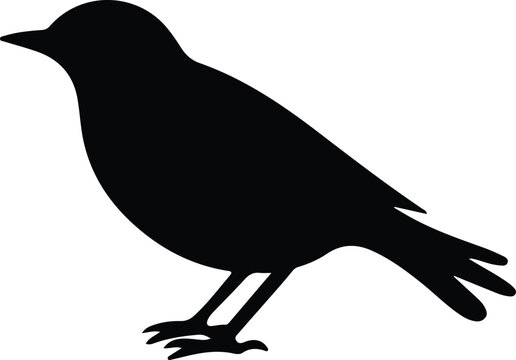 recommend clip art: blackbird silhouette