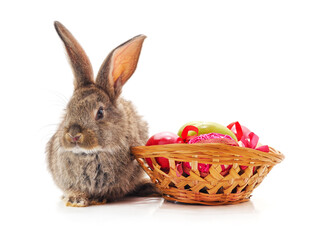 Fototapeta na wymiar Easter bunny with colored eggs.