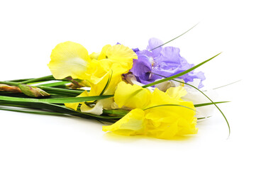 Bouquet of irises. - 760796969