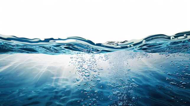 The image is of a body of water with a white background