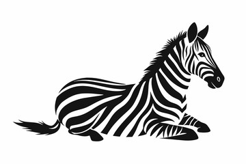 Fototapeta na wymiar silhouette of zebra laying in profile on white b 
