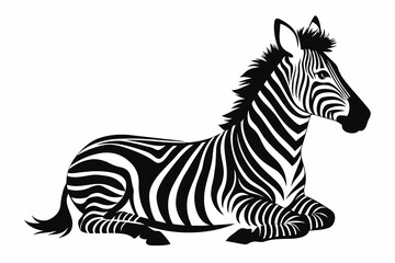 silhouette of zebra laying in profile on white b 