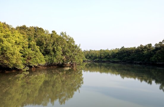 A canal in Sundarbans.Sundarbans is the biggest natural mangrove forest in the world, located between Bangladesh and India.this photo was taken from Bangladesh.