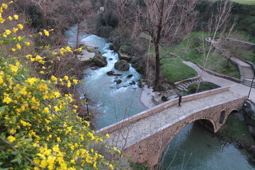 Podgorica