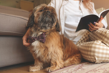 woman having fun and relaxing time at home with the shih tzu dog. Free and happy time at home...