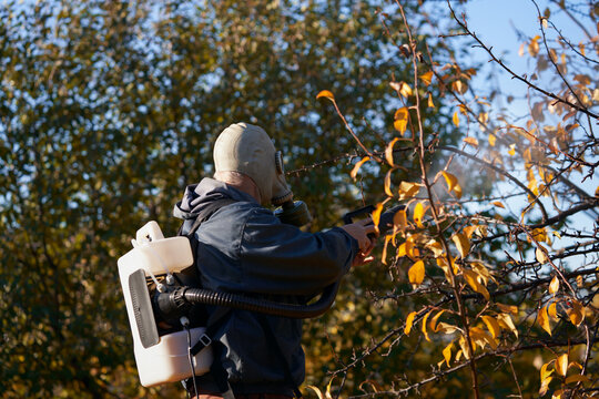 Protection of orchard fruits from diseases and pests. A man in a gas mask using an aerosol generator sprays a preparation on a tree.