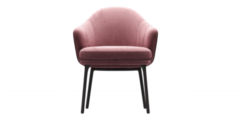 Modern and luxury pink chair with black wooden legs isolated on white background. Furniture Collection.