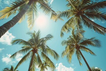 Summer breeze through palm trees, gently swaying; Ocean breeze, palm trees dancing in the sunlight.