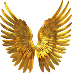 Golden angel wings open, cut out transparent