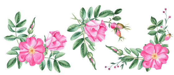 Watercolor dog rose corner bouquets set, composition from flowers, leaves and berries isolated on white background. Botanical hand drawn illustration.