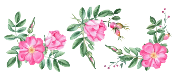 Tuinposter Watercolor dog rose corner bouquets set, composition from flowers, leaves and berries isolated on white background. Botanical hand drawn illustration. © Tatiana