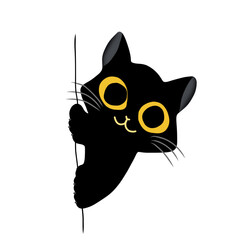 black cat with yellow eyes