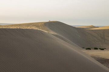 Maspalomas Sand Dunes Bathed in the Warm Glow of a Gran Canaria