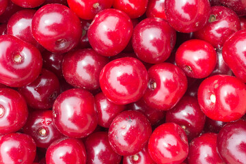 Close up of pile of ripe cherries. top view. Large collection of fresh red cherries. Ripe cherries background.