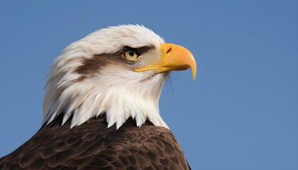 An Eagle With Its Majestic Profile Outlined Agains