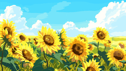 Cartoon sunflowers field. Seasonal sunflowers, agriculture harvest season. Bright nature floral landscape, vector bright illustration