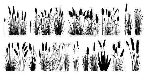 Reeds collection. Isolated black reed, forest pond and swamp plants. Decorative wild nature silhouettes, vector landscape elements set