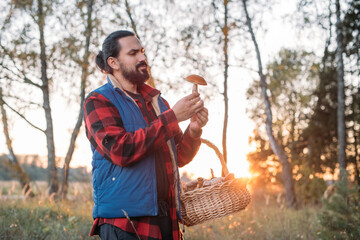 A mushroom picker man with a basket holds a mushroom in his hands in the forest.