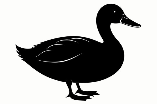 duck silhouette vector on white background.