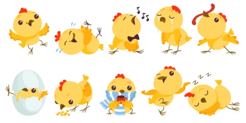 Papier Peint photo Ensemble d animaux mignons Cartoon baby chicken. Funny little birds. Easter character. Chick hatched from egg. Yellow mascot with different emotions. Sleeping or playing birdie. Domestic animal. Splendid vector set