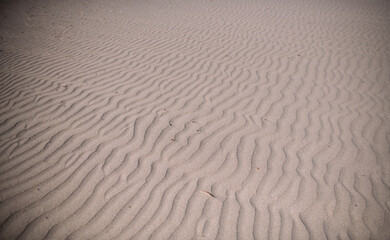 Close-up of sand in the desert, waves on the sand from the wind. No one.