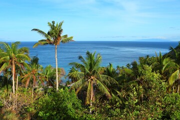 Fototapeta na wymiar Blue calm sea, green vegetation with palms, native boats, travel picture. View from the tropical island, ocean with the fishing boats in the distance. Adventure trip on exotic landscape.