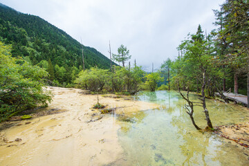 Huanglong colorful pond and spruce trees in Sichuan, China