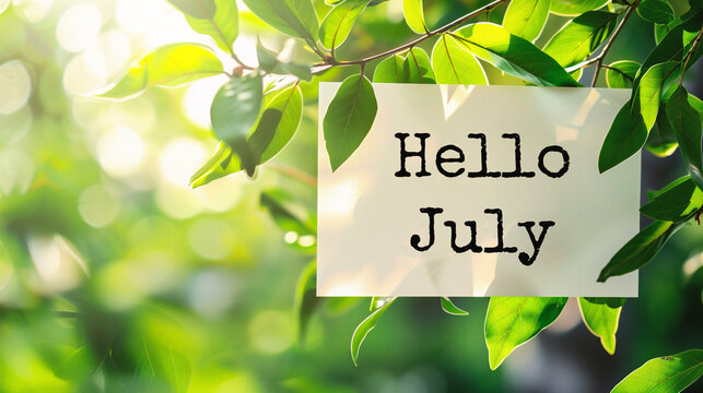 Hello july card with green leaves bokeh background and text